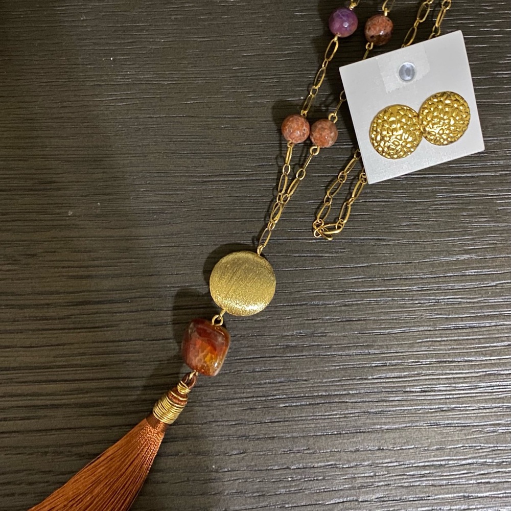 Long brown necklace with earrings